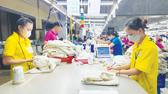 Vào năm 2030: Kinh tế tư nhân đóng góp khoảng 70-80% GRDP của TP Cần Thơ