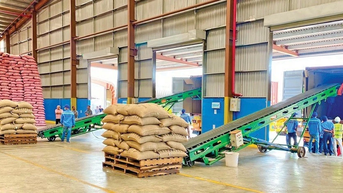 Kim ngạch xuất khẩu nông-lâm-thủy sản 7 tháng tăng trưởng 14,7%