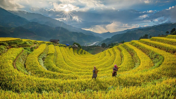 Vẻ đẹp ruộng bậc thang Lào Cai