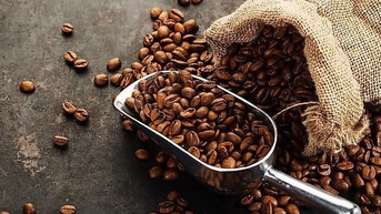 Tăng 300 đồng/kg, cà phê hôm nay cao nhất ở mức 117.800 đồng