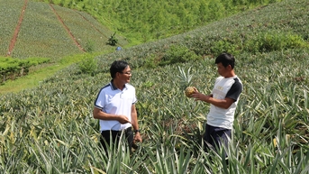 អំពីដុងកុង ស្តាប់ការផ្លាស់ប្តូរផែនដី