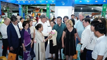 ភូមិសិប្បកម្មហាណូយខ្វះវត្ថុធាតុដើមដែលមានគុណភាព