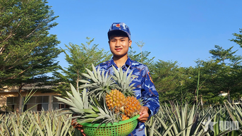 កាម៉ៅ៖ ផ្អែមលើដីប្រៃ