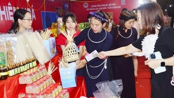 Tuyên Quang: "Chắp cánh" cho các sản phẩm OCOP vươn xa