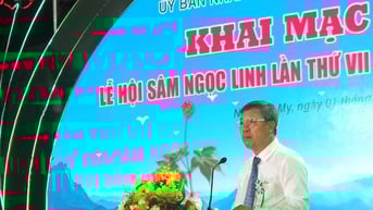 Lễ hội sâm Ngọc Linh lần thứ VII năm 2025: Tôn vinh loại dược liệu quý hiếm và văn hóa người dân bản địa