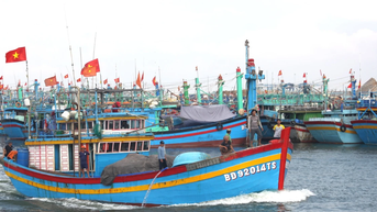 Đẩy nhanh tiến độ giải ngân dự án khu neo đậu tránh trú bão đầm Đề Gi