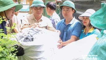 Trưởng ban Nội Chính Tỉnh ủy và nhóm thiện nguyện Niềm Tin trao hỗ trợ đồng bào bị lũ quét tại các xã Tương Dương, Hữu Kiệm và Mường Típ