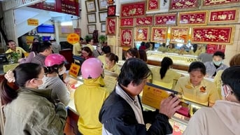 Giá vàng ngày 20/8: Giá vàng miếng và vàng nhẫn trên đỉnh, vàng thế giới rơi sát đáy
