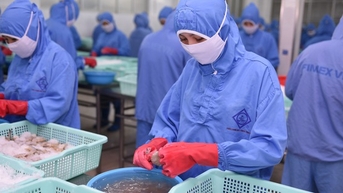 ពន្ធ​អា​មេ​រិ​ក​ចូល​ជា​ធរមាន អាជីវកម្ម​វៀតណាម​សម្រប​ខ្លួន​យ៉ាង​សកម្ម និង​បត់បែន​