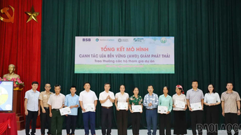 Đánh giá mô hình canh tác lúa thông minh, giảm phát thải khí nhà kính