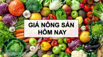 តម្លៃផលិតផលកសិកម្មថ្ងៃនេះ ថ្ងៃទី 18 ខែសីហា ឆ្នាំ 2025៖ តម្លៃកាហ្វេនៅតែបន្តកើនឡើង ការផ្គត់ផ្គង់មិនអាចបំពេញតម្រូវការបានឡើយ។ តើអាជីវកម្មគួរធ្វើអ្វីមុនពន្ធ 20% ពីសហរដ្ឋអាមេរិក?