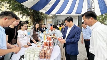Phát triển nền kinh tế tập thể hiện đại, quy mô