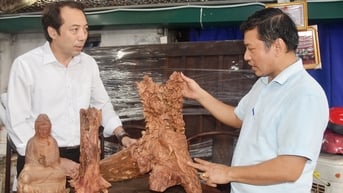Bắc Ninh: Tiếp sức nâng cao hiệu quả hoạt động của các hợp tác xã