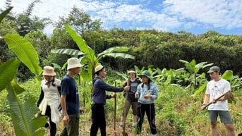 Vun mầm xanh cho tương lai ở làng Aur