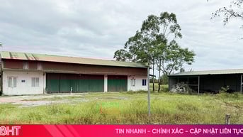 Khu nông nghiệp công nghệ cao FLC thành vùng đất hoang