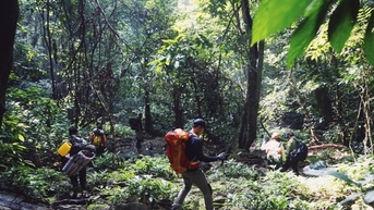 Ninh Bình: Kiểm soát chặt chẽ hoạt động trekking sau vụ du khách tử vong trong rừng Cúc Phương
