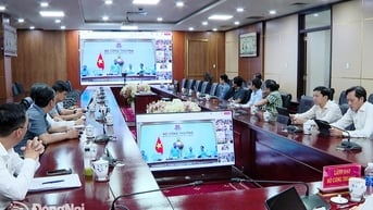 Đồng Nai kiến nghị gỡ ‘nút thắt pháp lý’ cho các dự án điện mặt trời mái nhà trong khu công nghiệp