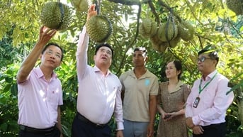 다크락의 사회정책 신용은 안정적으로 유지됩니다.