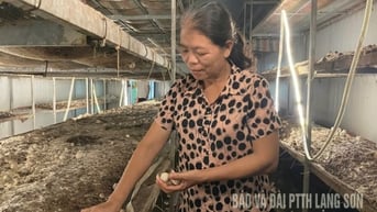 Khi hợp tác xã tham gia OCOP