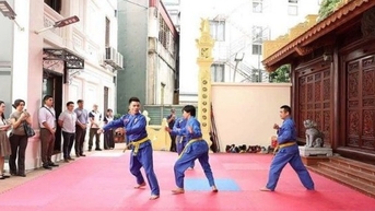 Võ Việt Nam trong thời đại số