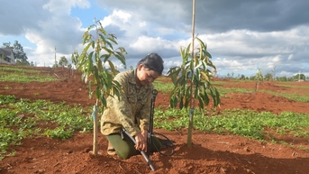 Siết chặt quản lý chất lượng giống cây trồng