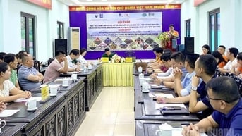 파트너 네트워크 개발 및 관광 연계에 관한 워크숍