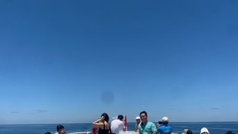 Vé tàu Phan Thiết - Phú Quý giảm giá mạnh