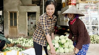 Nghĩa Phương: Nhộn nhịp mùa na