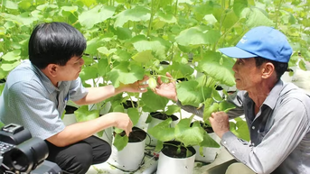 Đak Lua xa mà gần