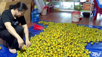"Tấm vé thông hành" cho đặc sản địa phương