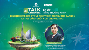 ការអភិវឌ្ឍន៍ទីផ្សារកាបូន៖ បទពិសោធន៍ និងសំណូមពរអន្តរជាតិសម្រាប់វៀតណាម