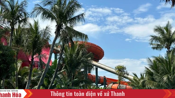 វិស័យវប្បធម៌ឆ្លើយតបយ៉ាងសកម្មចំពោះព្យុះលេខ៥