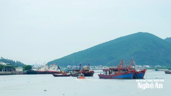 Cửa Lò khẩn trương triển khai phương án ứng phó bão số 5