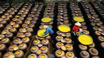 Nghề truyền thống làm tương bần Hưng Yên
