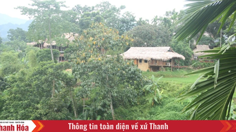 ការទប់ស្កាត់ការរអិលបាក់ដី