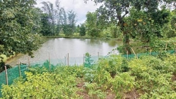 Vươn lên từ nghèo khó