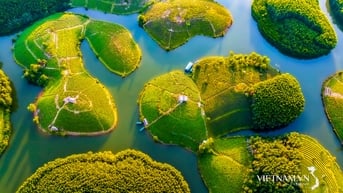 Đảo chè Thanh Chương điểm đến nổi tiếng của Nghệ An