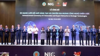 Thành lập 3 Mạng lưới Đổi mới sáng tạo và chuyên gia công nghệ chiến lược