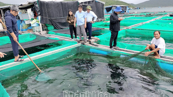 Tiềm năng nuôi cá tai bồ