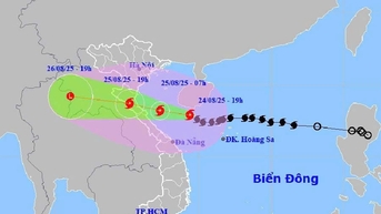 ប្រធានគណៈកម្មាធិការប្រជាជនខេត្ត Bac Ninh បញ្ជាឱ្យពង្រឹងអធិការកិច្ច និងត្រួតពិនិត្យការងារឆ្លើយតបនឹងព្យុះលេខ៥
