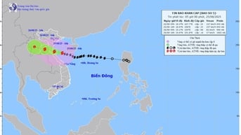 Bão số 5, giật cấp 17, cách Nghệ An, Hà Tĩnh, Quảng Trị khoảng 200km