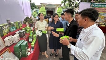 Thúc đẩy quảng bá, tiêu thụ sản phẩm OCOP