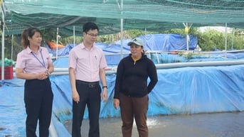Từ dòng vốn vay của Ngân hàng Chính sách xã hội