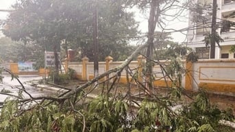 Thủ tướng Chính phủ chỉ đạo khẩn trương khắc phục hậu quả bão số 5 và ứng phó mưa lũ sau bão