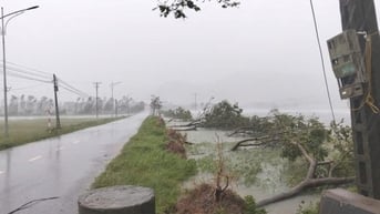 Bão số 5 đổ bộ gây gió mạnh, mưa lớn, Thủ tướng chỉ đạo khẩn trong đêm