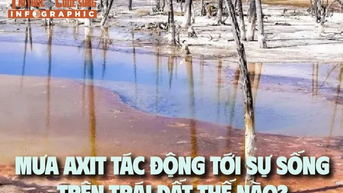 [INFOGRAPHIC] Mưa axit tác động tới sự sống trên Trái đất thế nào?