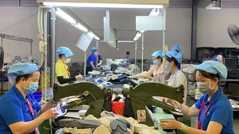Tổ chức thu thập thông tin thị trường lao động từ ngày 28/8