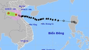 Khẩn trương khắc phục 44 điểm giao thông bị ách tắc do bão số 5