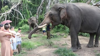 Kết nối du lịch biển đảo với văn hóa đại ngàn Tây Nguyên