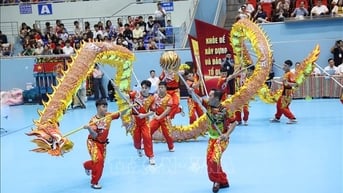 Giải Vô địch các câu lạc bộ Lân Sư Rồng toàn quốc